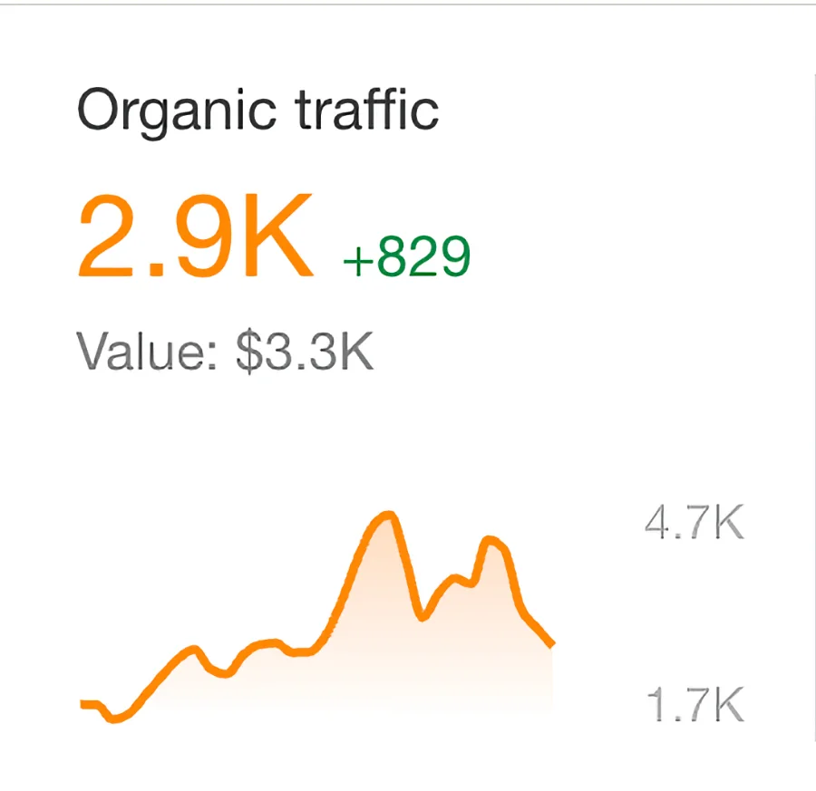 Organischer Traffic 2,9K, Wert $3,3K